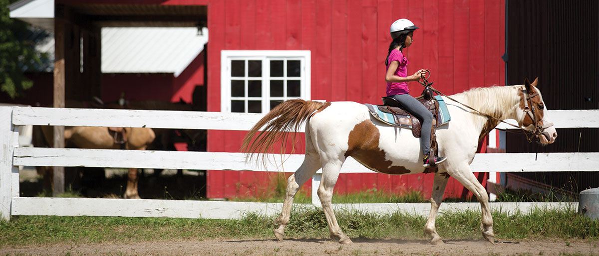 Horse Camps, Horseback Riding Camps, Equestrian Summer Camps